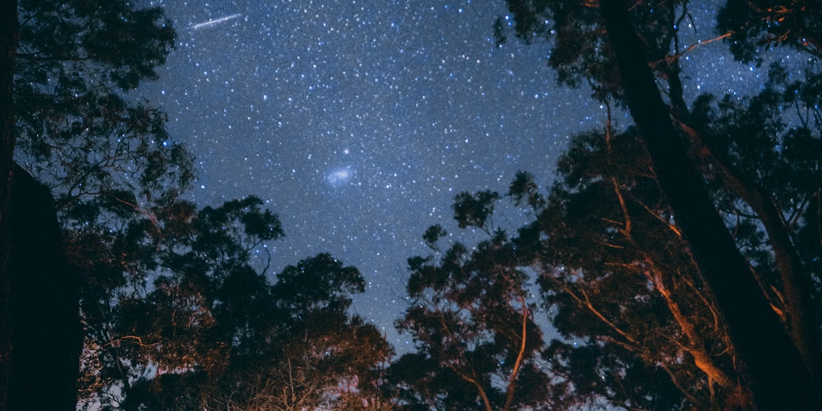 荒野露营体验应用场景 - 家庭用户使用k1集团装备享受星空露营